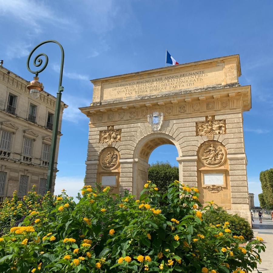 Chic - La Terrasse Bazille Apartment *