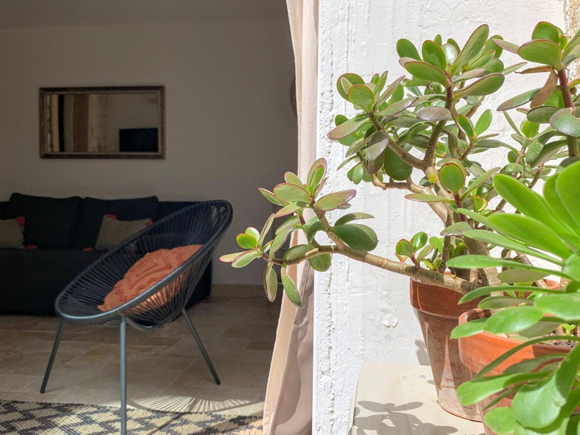 Chic - La Terrasse Bazille Apartment Montpellier